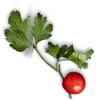 Hasta La Muerte Tacos