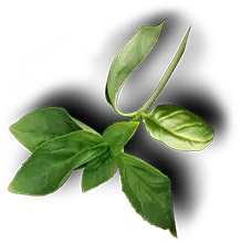 Hasta La Muerte Tacos