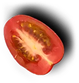 Hasta La Muerte Tacos